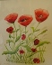 Val Jolly - a Poppy Dream.jpg